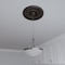 Ekena Millwork Berkshire PVC Medallion (Canopies up to 8 3/8"), 19"OD x 3 1/2"ID x 1"P, Metallic Rustic Mist CMP19BEERU - alternate 10